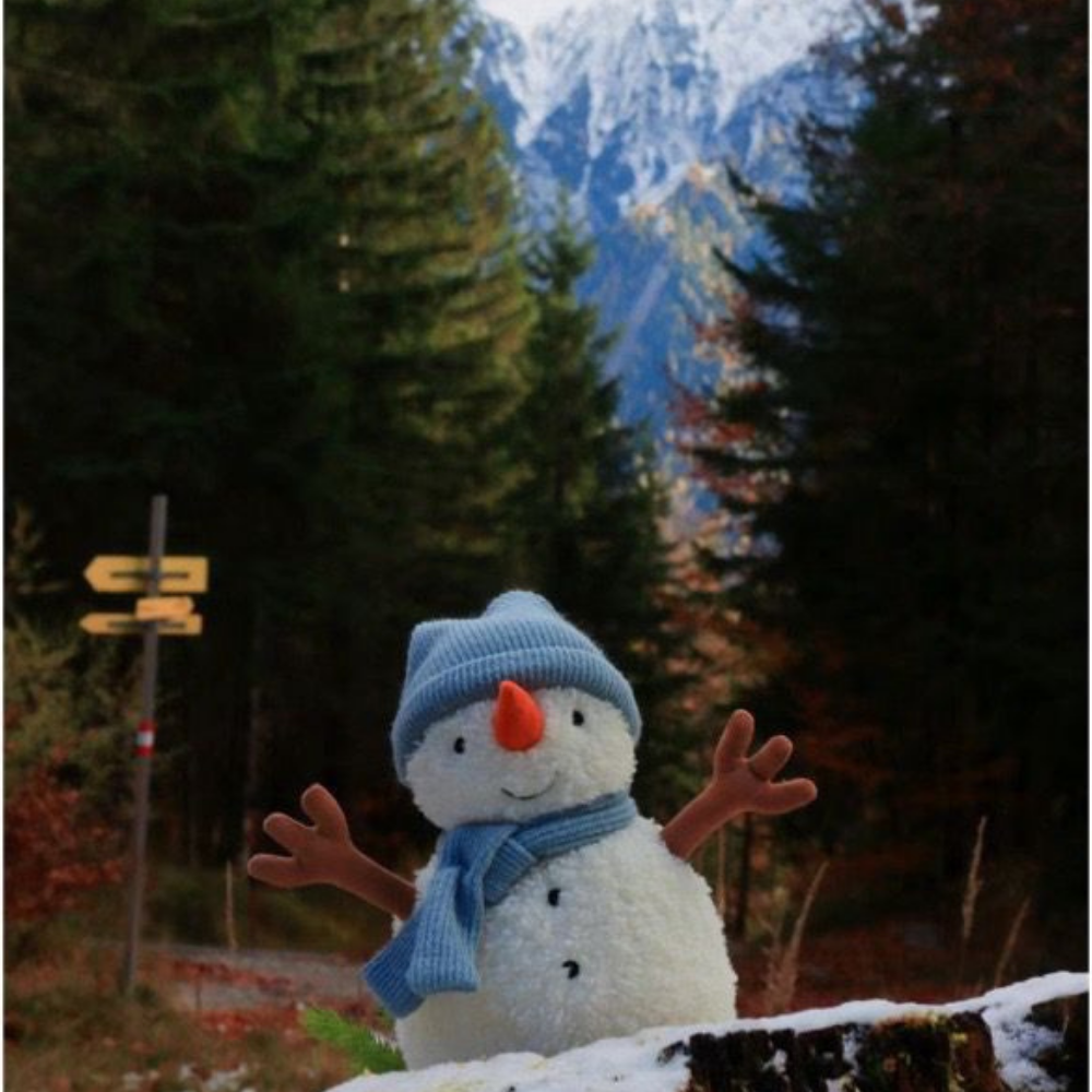 Snowman Doll