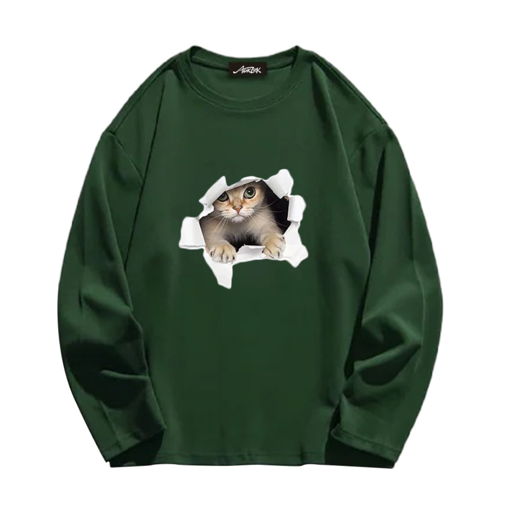 Broken Wall Kitten Long Sleeve Shirt