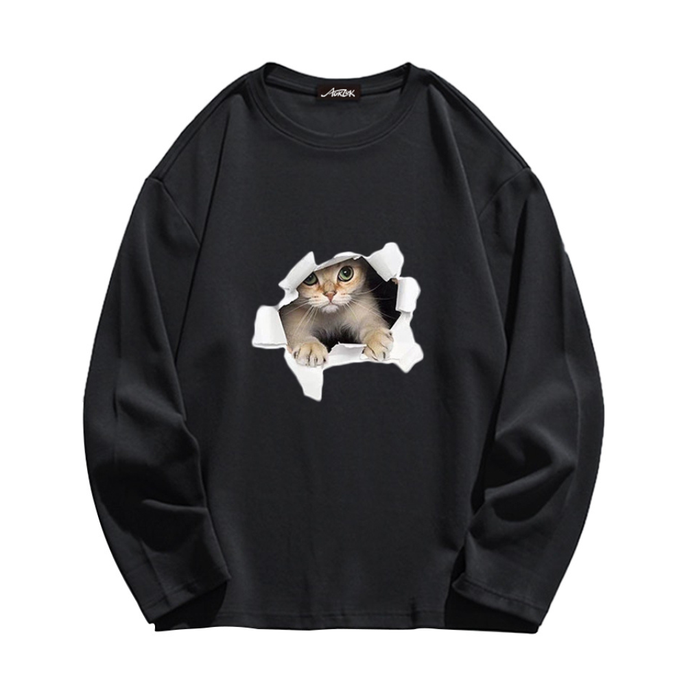 Broken Wall Kitten Long Sleeve Shirt