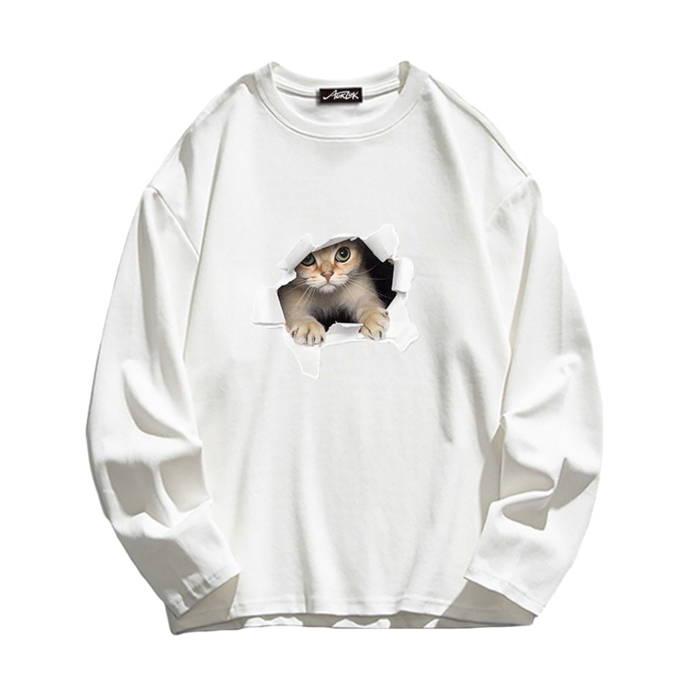 Broken Wall Kitten Long Sleeve Shirt
