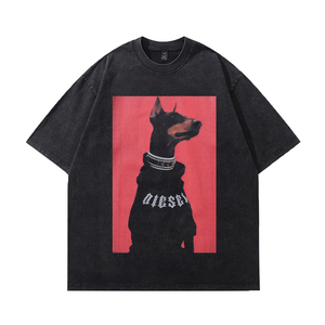 Collar Sweatshirt Doberman Pinscher Washed T-Shirt