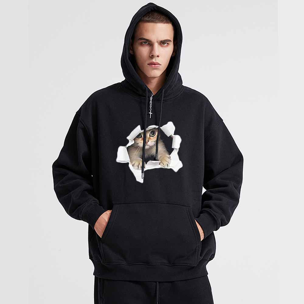 Broken Wall Cat Print Hoodie