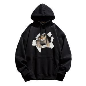 Broken Wall Cat Print Hoodie