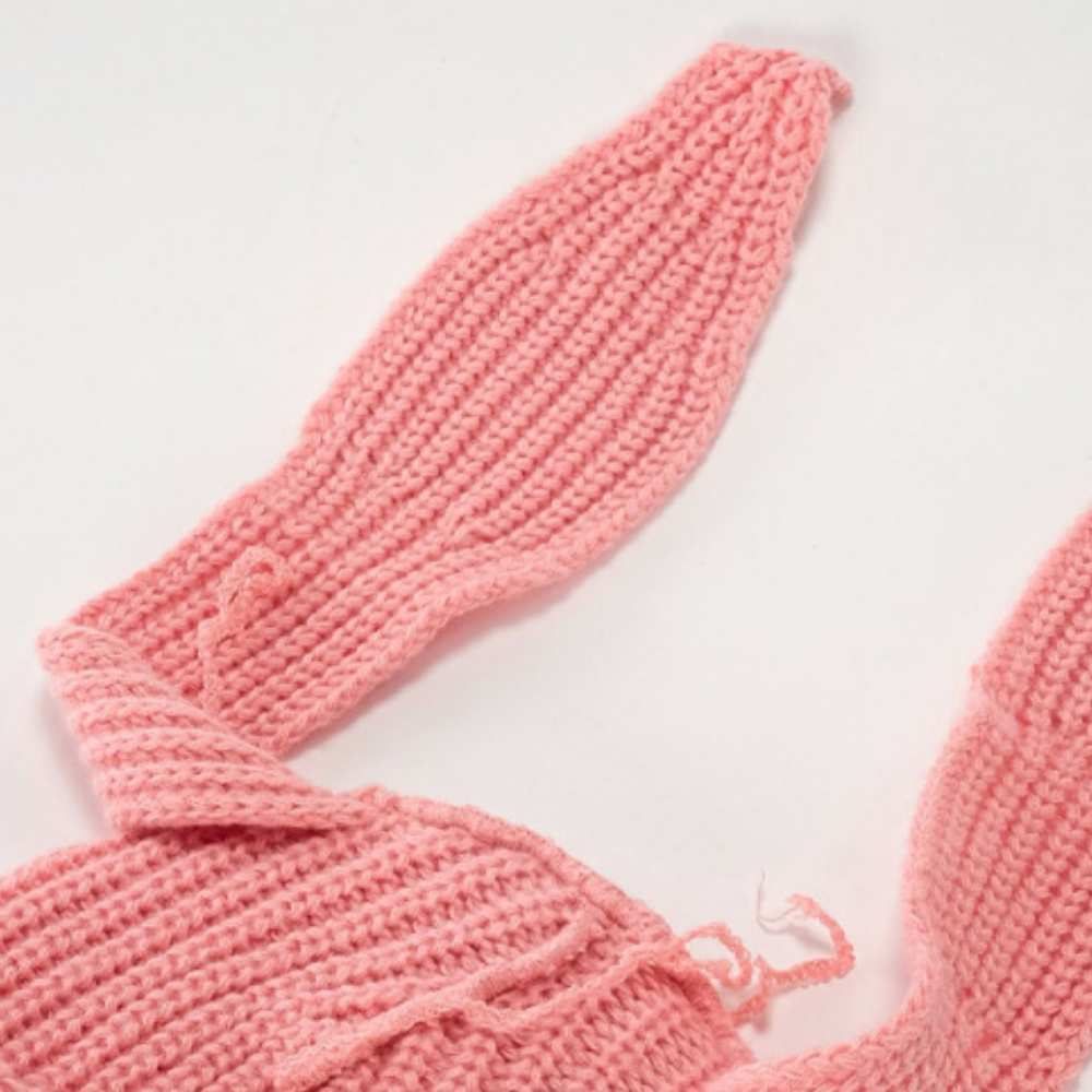 Street Solid Color Rabbit Knitted Hat