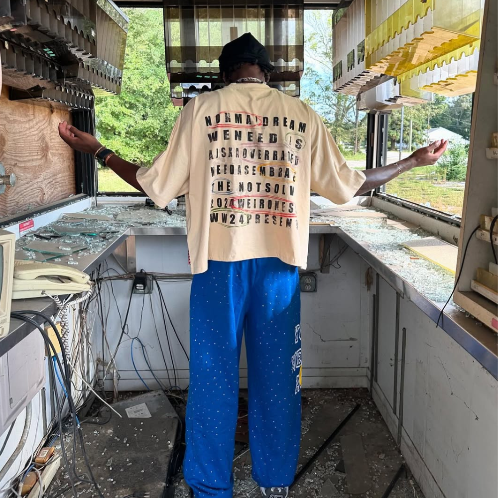 ART IN WAR Not Your Normal Dream