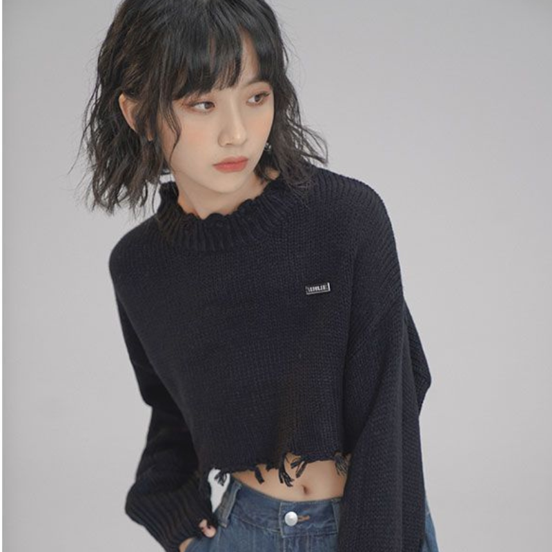 Women Knit Cropped Sweater